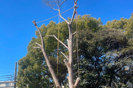 どんな高さ・どんな環境<br>でも対応できる