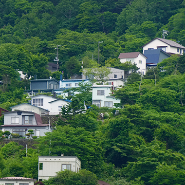 家のすぐ上が斜面で、木が揺れるたびに不安